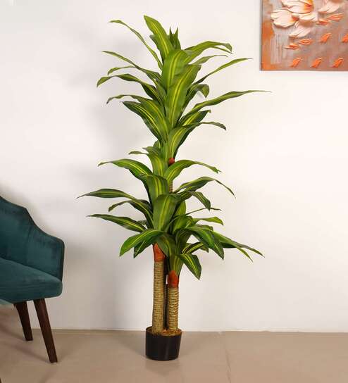 6Ft Artificial Dracaena Reflexa Tree Plant with Pot