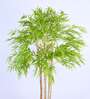 6Ft Artificial Bamboo Tree Plant with Pot