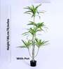 6Ft Artificial Dracaena Plant with Pot