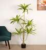 6Ft Artificial Dracaena Plant with Pot