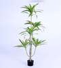 6Ft Artificial Dracaena Plant with Pot