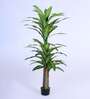 6Ft Artificial Dracaena Reflexa Tree Plant with Pot