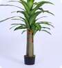 6Ft Artificial Dracaena Reflexa Tree Plant with Pot