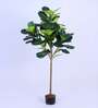 6Ft Artificial Fiddle Leaf Fig Tree Plant with Pot