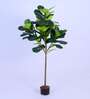 6Ft Artificial Fiddle Leaf Fig Tree Plant with Pot