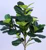 6Ft Artificial Fiddle Leaf Fig Tree Plant with Pot