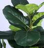 6Ft Artificial Fiddle Leaf Fig Tree Plant with Pot