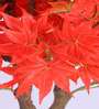 6Ft Artificial Japanese Maple Tree Plant with Pot