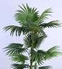 6Ft Artificial Palmetto Palm Tree Plant with Pot