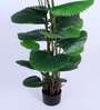 6Ft Artificial Ruffled Fan Palm Tree Plant with Pot