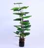 6Ft Artificial Ruffled Fan Palm Tree Plant with Pot