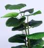 6Ft Artificial Ruffled Fan Palm Tree Plant with Pot