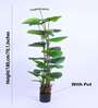 6Ft Artificial Ruffled Fan Palm Tree Plant with Pot