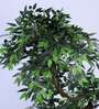 6Ft Artificial Twisted Eucalyptus Tree Plant with Pot