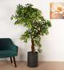 6Ft Artificial Twisted Eucalyptus Tree Plant with Pot