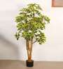 6Ft Artificial Umbrella Schefflera Tree Plant with Pot