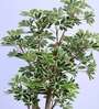 6Ft Artificial Umbrella Schefflera Tree Plant with Pot