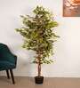 6Ft Artificial Variegated Ficus Tree Plant with Pot