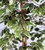6Ft Artificial Variegated Ficus Tree Plant with Pot