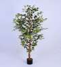 6Ft Artificial Variegated Ficus Tree Plant with Pot