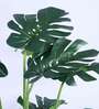 6Ft Artificial Large Monstera Tree Plant with Pot