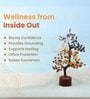 Multicolour 7 Chakra Crystal Tree for Energy Balance, Positivity, and Spiritual Growth (200 Beads)