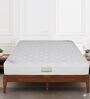 7-Layer Ortho 10 Inch Pocket Spring Queen Size Mattress