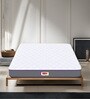 7-Zone Orthopedic 8 Inches HR Foam King Size Mattresses