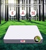 7-Zone With Posture Contour Tech. HR Foam 10 Inches Queen Size Mattress in White Colour