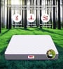 7-Zone With Posture Contour Tech 6 Inch HR & Latex Foam King Size Mattress