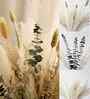 Brown And White Metal 70 Pcs Pampas Dried Plants