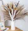 Brown And White Metal 70 Pcs Pampas Dried Plants