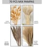 Brown And White Metal 70 Pcs Pampas Dried Plants