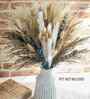 Brown And White Metal 70 Pcs Pampas Dried Plants