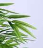 7Ft Artificial Bamboo Tree Plant with Pot