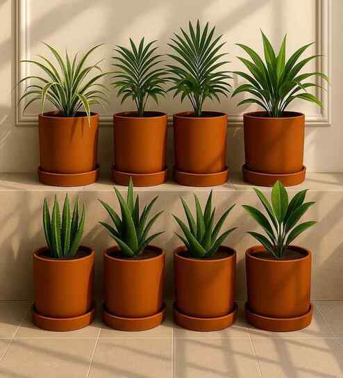 8 Pcs Red Terracotta 4 Inchs Planters