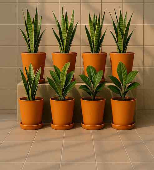 8 Pcs Red Terracotta 5.5 Inchs Planters