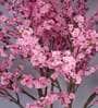 8.2Ft Artificial Cherry Blossom Tree Plant with Pot