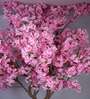 8.2Ft Artificial Cherry Blossom Tree Plant with Pot