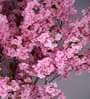 8.2Ft Artificial Cherry Blossom Tree Plant with Pot