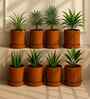 8 Pcs Red Terracotta 4 Inchs Planters