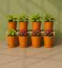 8 Pcs Red Terracotta 5.5 Inchs Planters