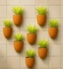 8 Pcs Red Terracotta 6.5 Inchs Planters