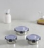 Clear Lock Series Regular Stainless Steel (Set of 3 ) Airtight Container with Leak Proof lid