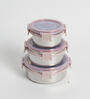 Clear Lock Series Regular Stainless Steel (Set of 3 ) Airtight Container with Leak Proof lid