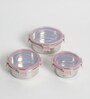 Clear Lock Series Regular Stainless Steel (Set of 3 ) Airtight Container with Leak Proof lid