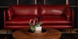 Aara Leather Three Seater Sofa in Red Colour
