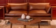 Aara Leather Three Seater Sofa in Tan Colour