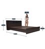Aaric Queen Size Bed in Dark elm Finish