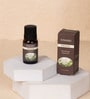 Brown Freshia Fragrance Essential Oils